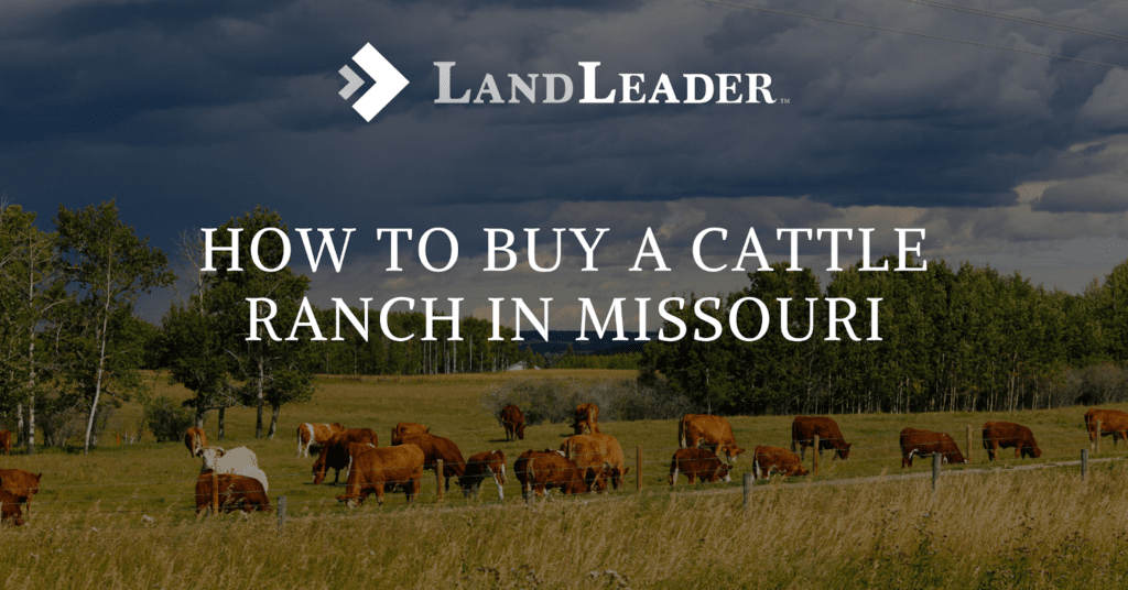 Missouri cattle ranches for sale