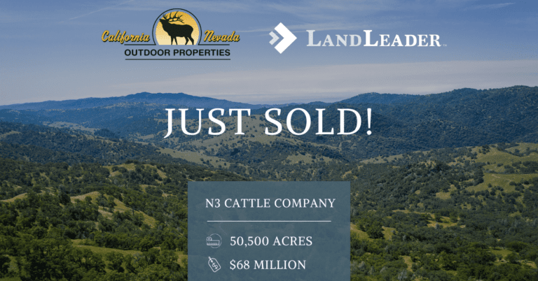 Graphic Displaying The Phrase Just Sold And The Proeprty Title Of N3 Ranch