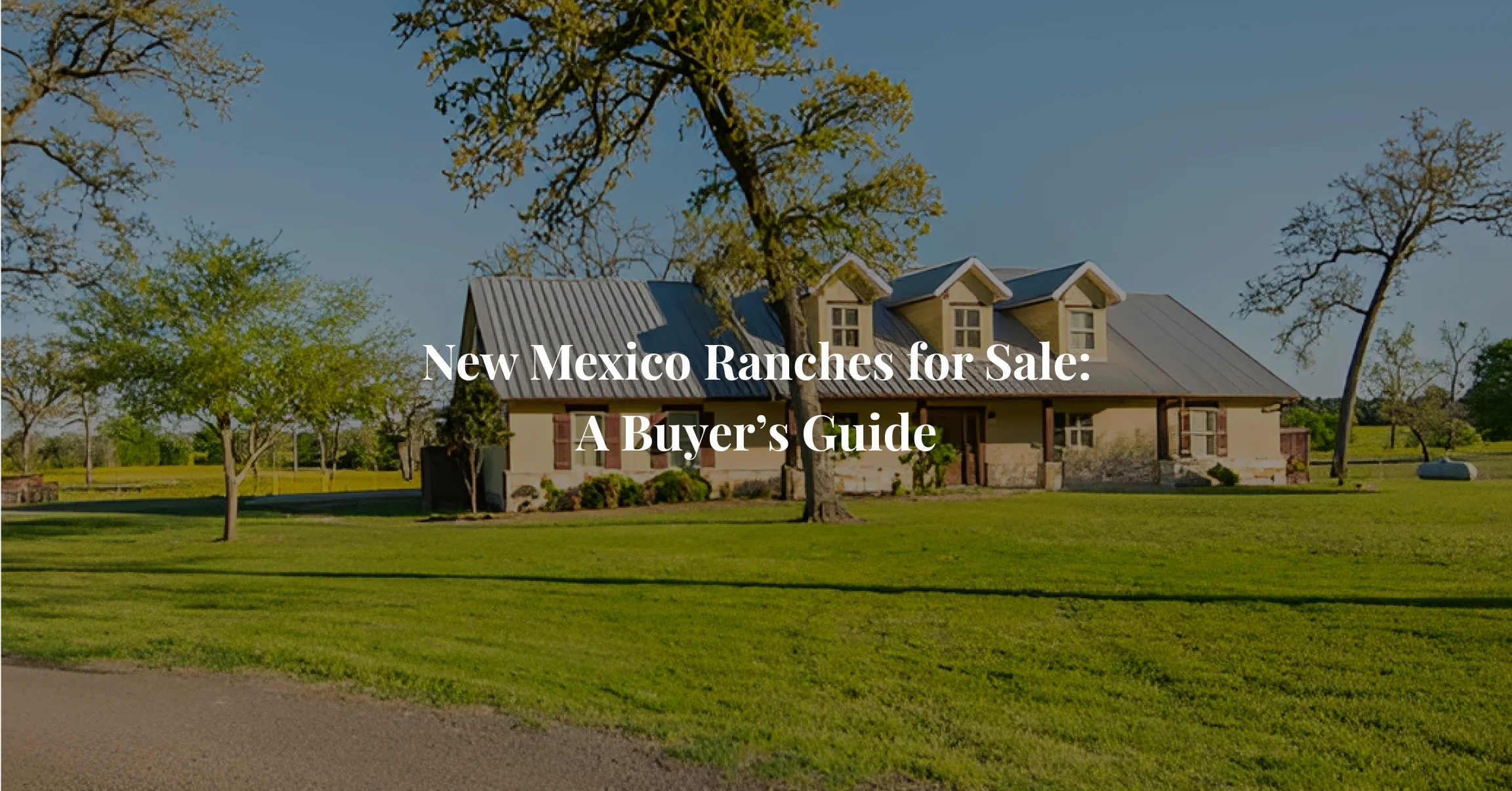 New mexico