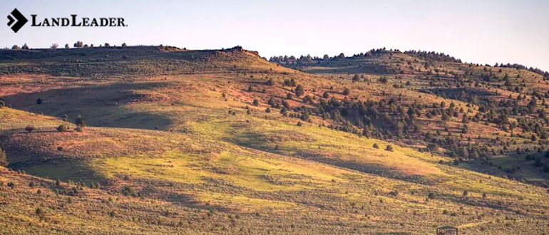 rural land for sale in Arkansas