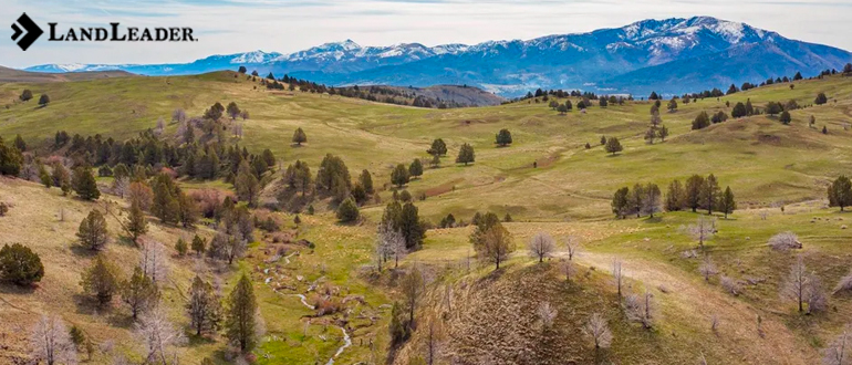 Why invest in Rural land