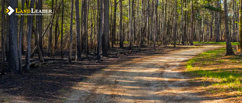 Improving the lands physical