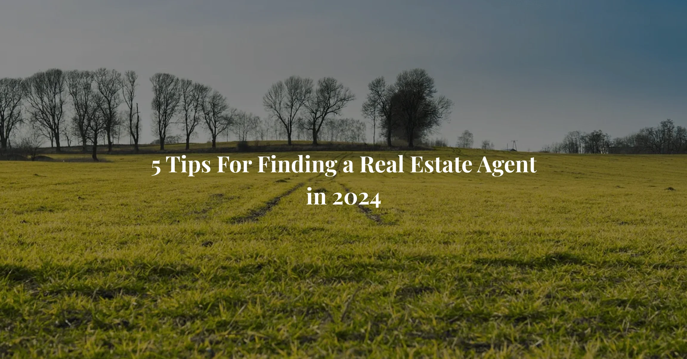 Real Estate