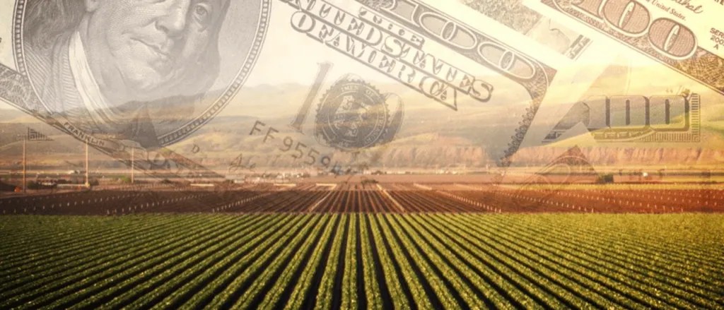 How to reduce taxes