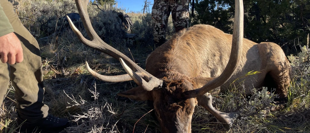 Safety-Measures-When-Hunting-from-a-Treestand--1024x439