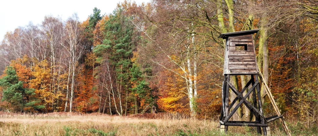 Final-Checklist-Before-You-Buy-Hunting-Land--1024x439