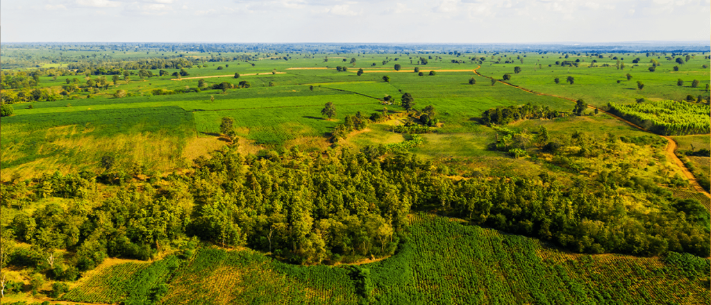 has the land been recently surveyed
