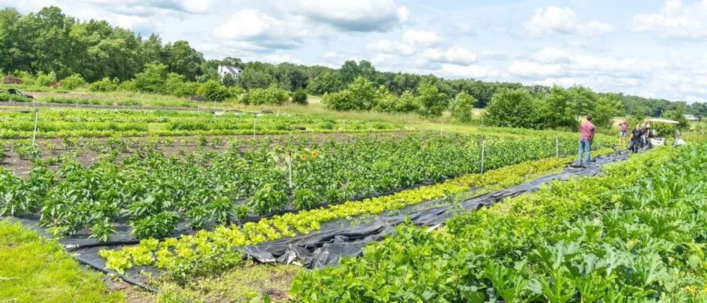 Improving-Water-Quantity-and-Quality-Through-NRCS-Programs--1024x439