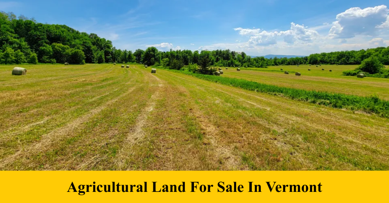 Agricultural Land For Sale In Vermont