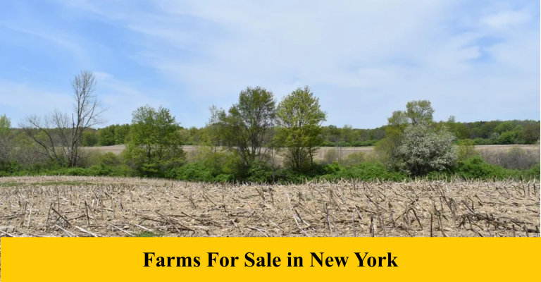 Farms For Sale In New York