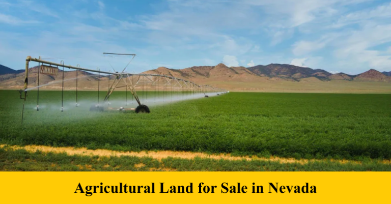 Agricultural Land For Sale In Nevada