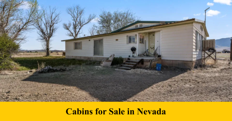 Cabins For Sale In Nevada