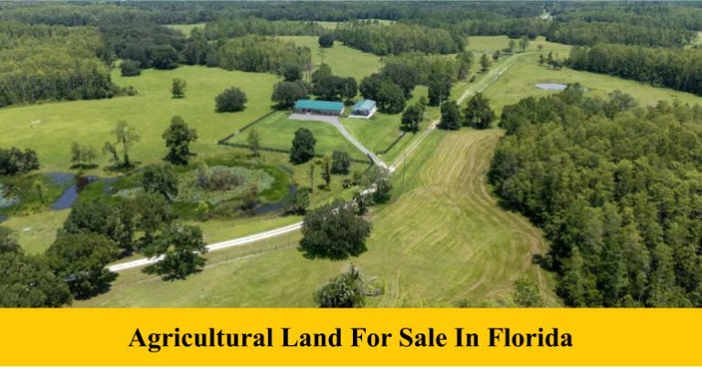Agricultural Land For Sale In Florida