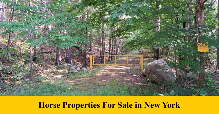 Horse Properties For Sale In New York