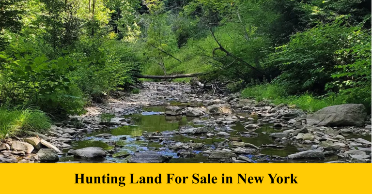 Hunting Land For Sale In New York