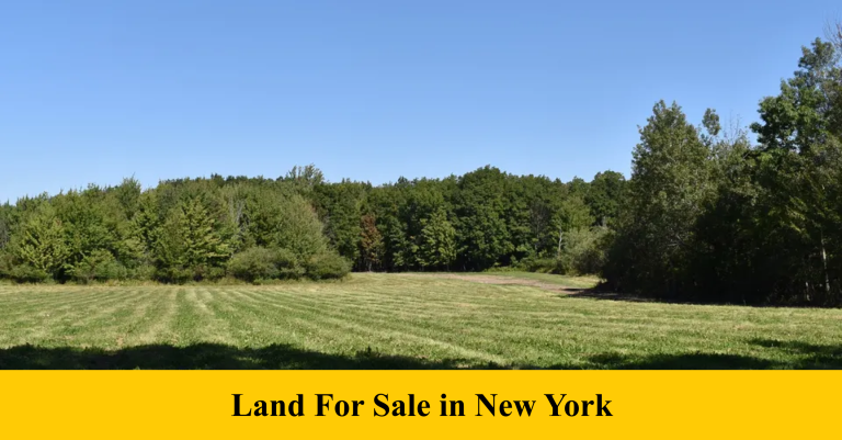 Land For Sale in New York