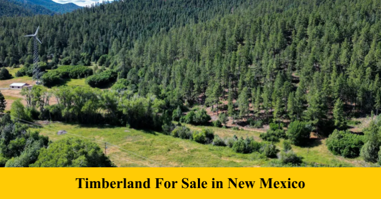 Timberland For Sale in New Mexico