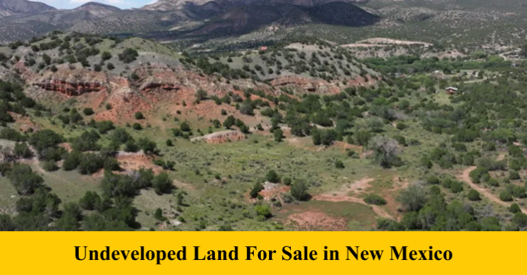Undeveloped Land For Sale in New Mexico