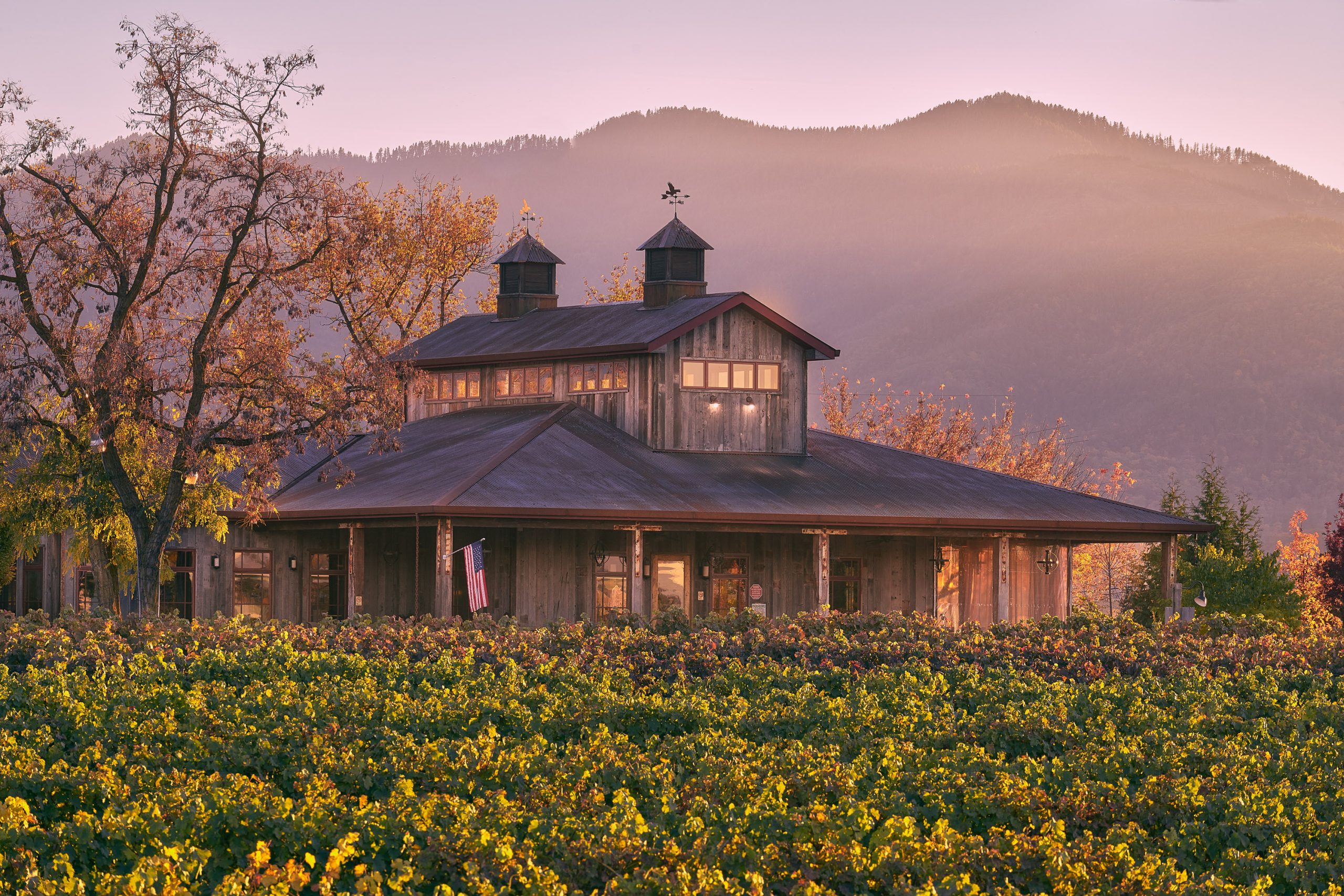 Padigan Vineyard & Winery