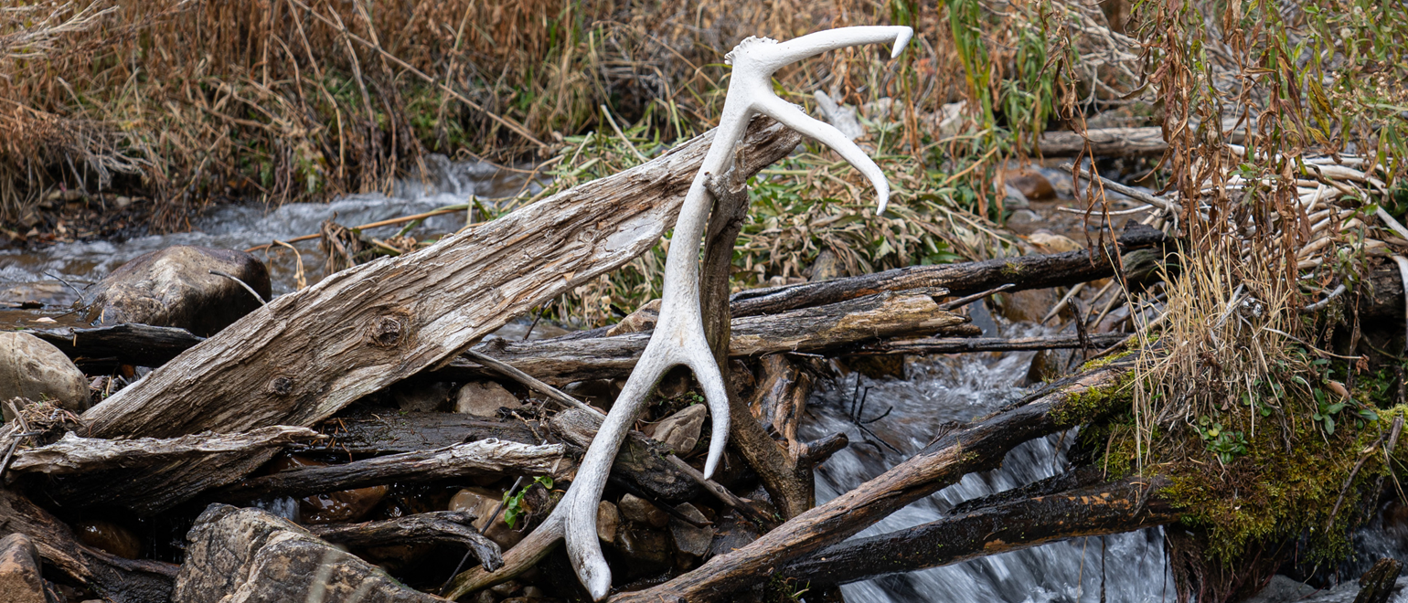 Improve Shed Hunting Visibility