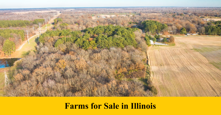 Farm for Sale in Illinois