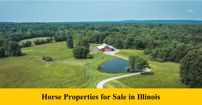 Horse Properties for Sale in Illinois