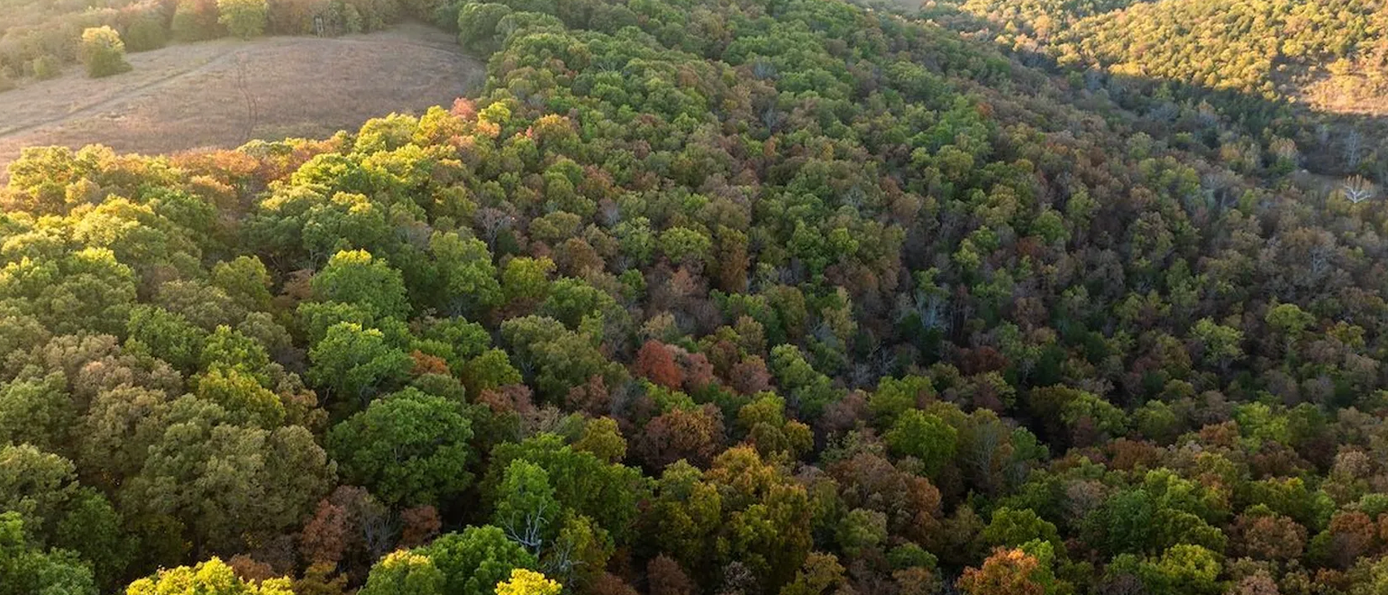 how to hunt ridges for whitetails