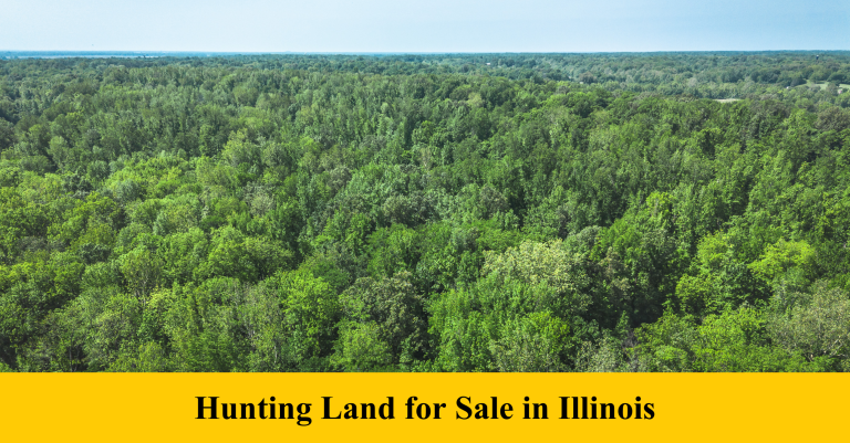 Hunting Land for Sale in Illinois