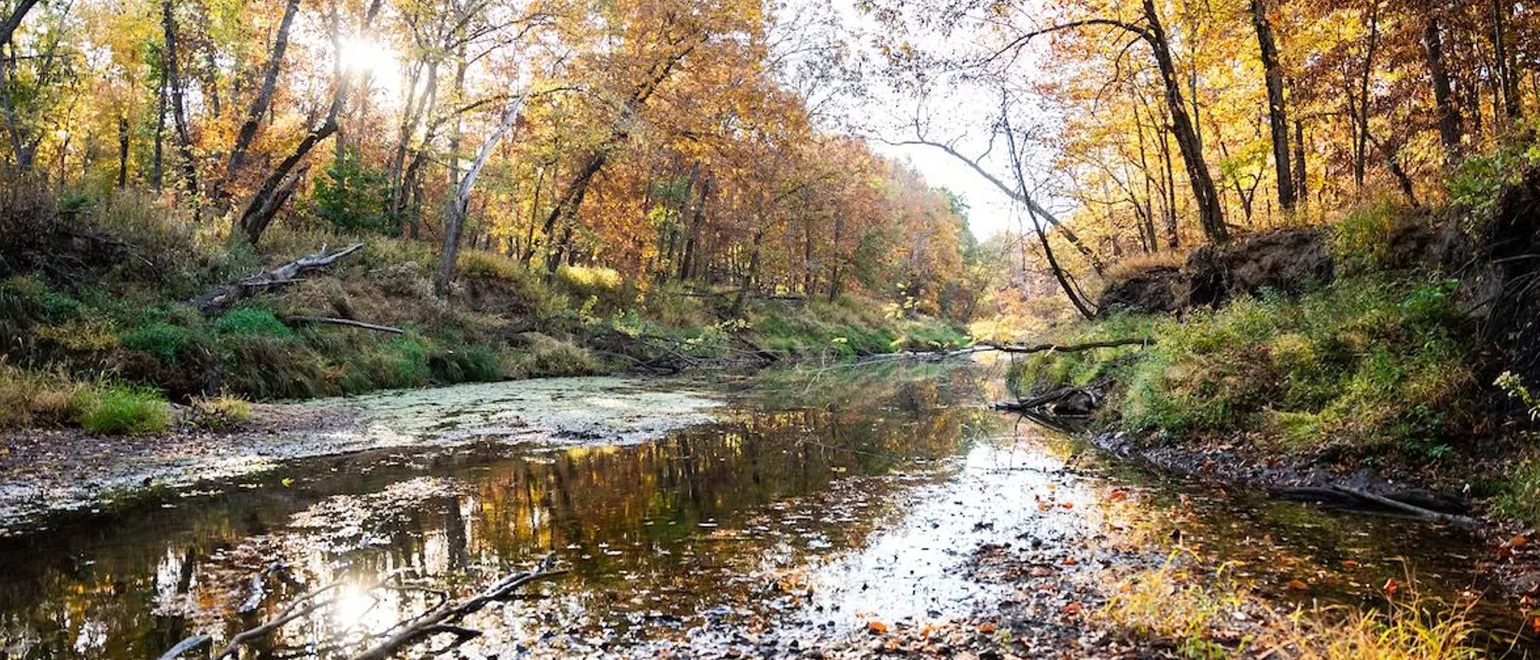 Ridge Country Hunting Properties