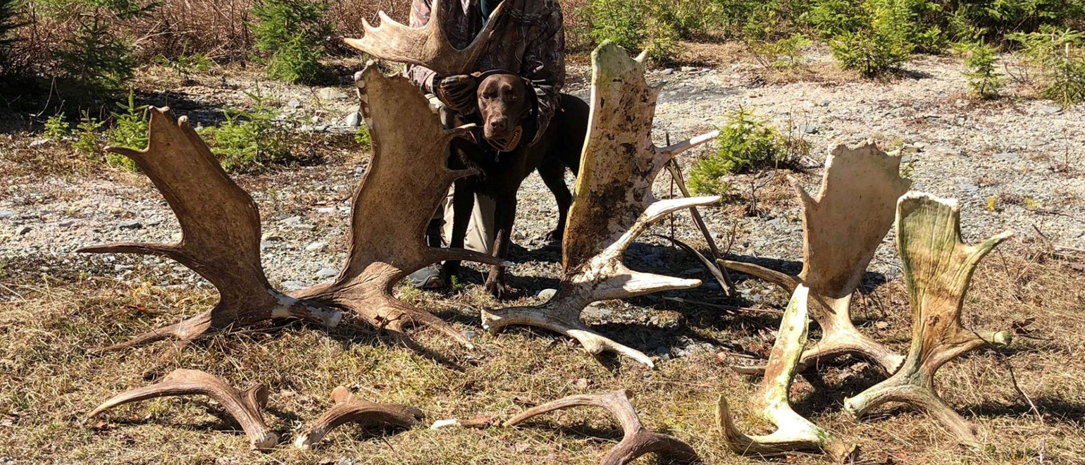 when to start shed hunting