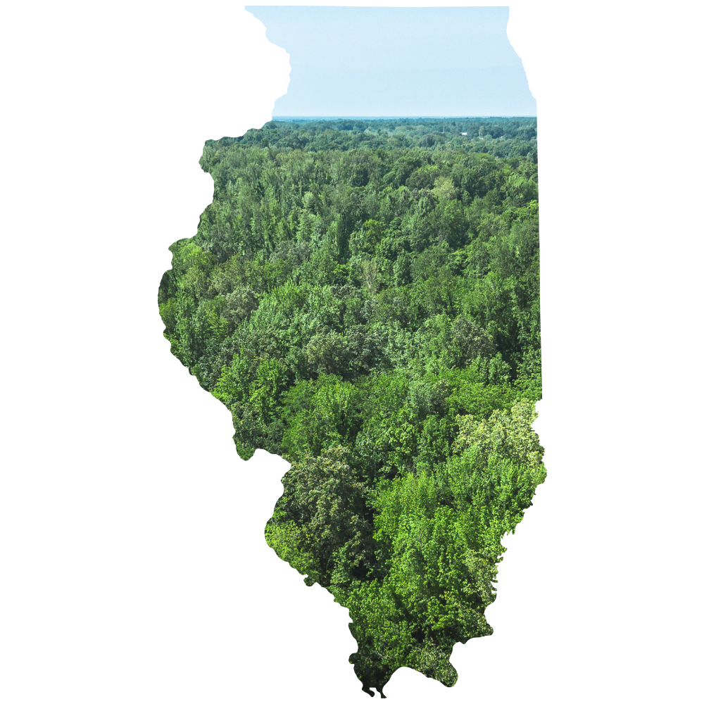 Hunting Land for Sale in Illinois